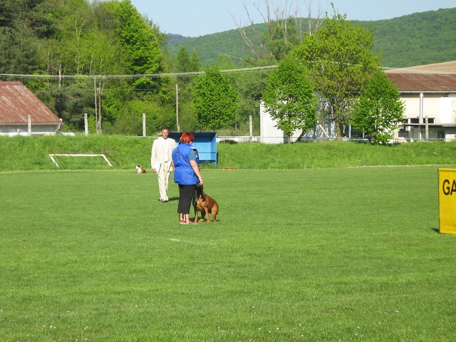 www.atibox.net * www.euroboxer.eu * www.boxergenealogia.eu